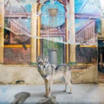 A grey wolf facing the camera before a damaged architectural fresco of fluted columns, with an open doorway to a further frescoed room, in the Villa Oplontis, Torre Annunziata.