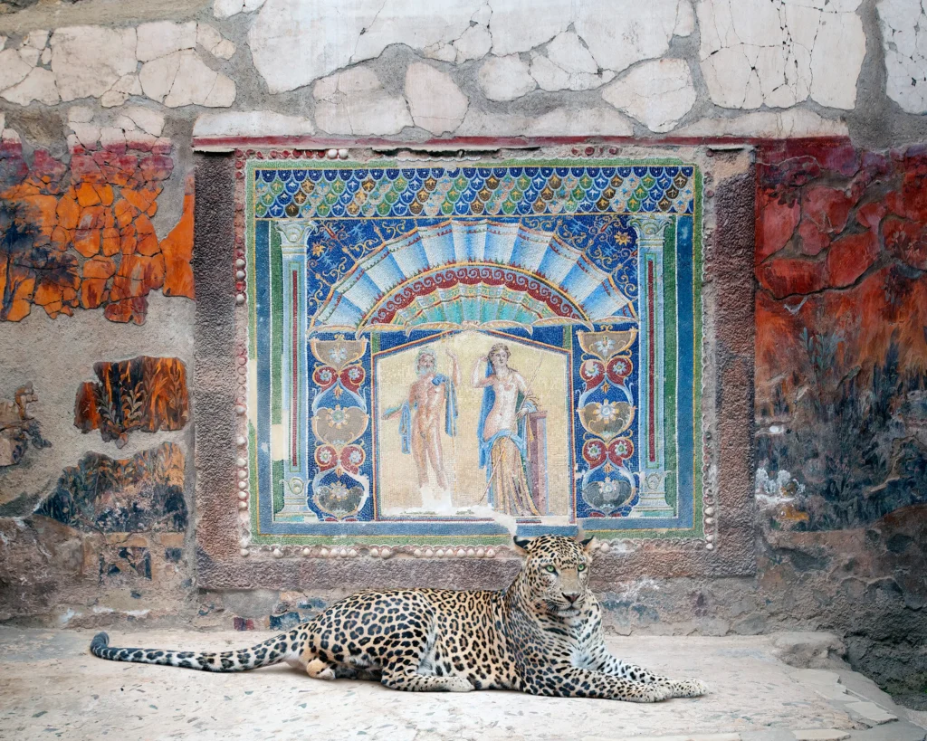 A leopard standing in a frescoed room of the House of Neptune and Amphitrite, Herculaneum.