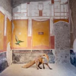 A red fox walking across a ruined floor in front of ochre-yellow fresco panels, with a small green bird in flight above, in the House of the Vettii, Pompeii.