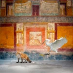 A red fox crouching low while a white egret takes flight beside it in an ochre and red frescoed room of the House of Siricus, Pompeii.