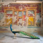 A peacock with its tail spread standing in a room with red and yellow architectural frescoes in the Villa Oplontis, Torre Annunziata.