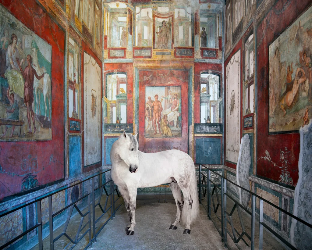 A grey horse standing in a frescoed room of the House of the Vettii, Pompeii.