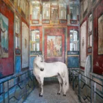 A grey horse standing in a frescoed room of the House of the Vettii, Pompeii.