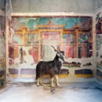 A dark, long-haired goat standing before a fresco of painted architecture in teal, red and gold in the Villa Oplontis, Torre Annunziata.