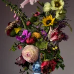 A tall bouquet of ranunculus, hibiscus and tulips in a blue-and-white Delft vase against a mauve wall.