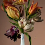 Flamed parrot tulips in a white Delft vase with a small blue pattern, against a warm brown wall.