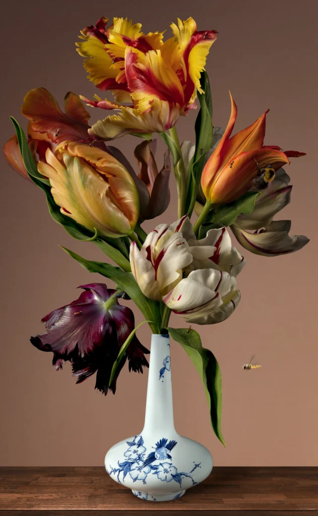 Flamed parrot tulips in a white Delft vase with a small blue pattern, against a warm brown wall.