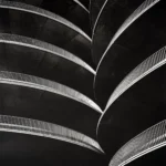 Curved concrete ramps of a spiral parking structure stacked in tight rows, their thin railings catching the light against deep shadow.