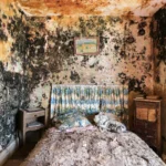 A bedroom whose walls and ceiling are covered in black, ochre and rust-coloured mould; a dust-covered made bed with floral pillows stands between two bedside cabinets, and a small landscape painting hangs above it.