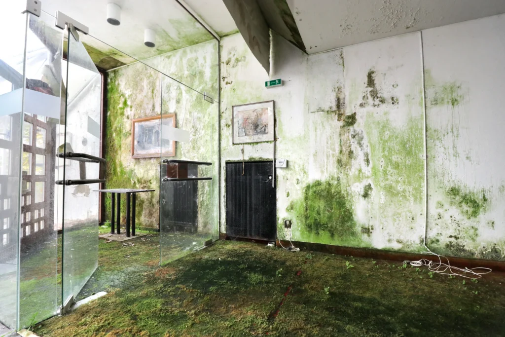 A room with a frameless glass partition and door standing open, its floor a continuous carpet of green moss; two framed pictures still hang on white walls streaked with green algae.