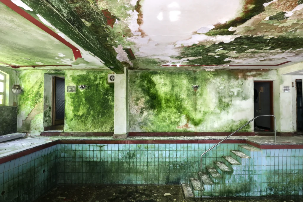 An empty indoor swimming pool lined with pale-blue tiles, a steel handrail leading down its steps; the wall behind is bright green with algae and the ceiling paint peels in large flakes.