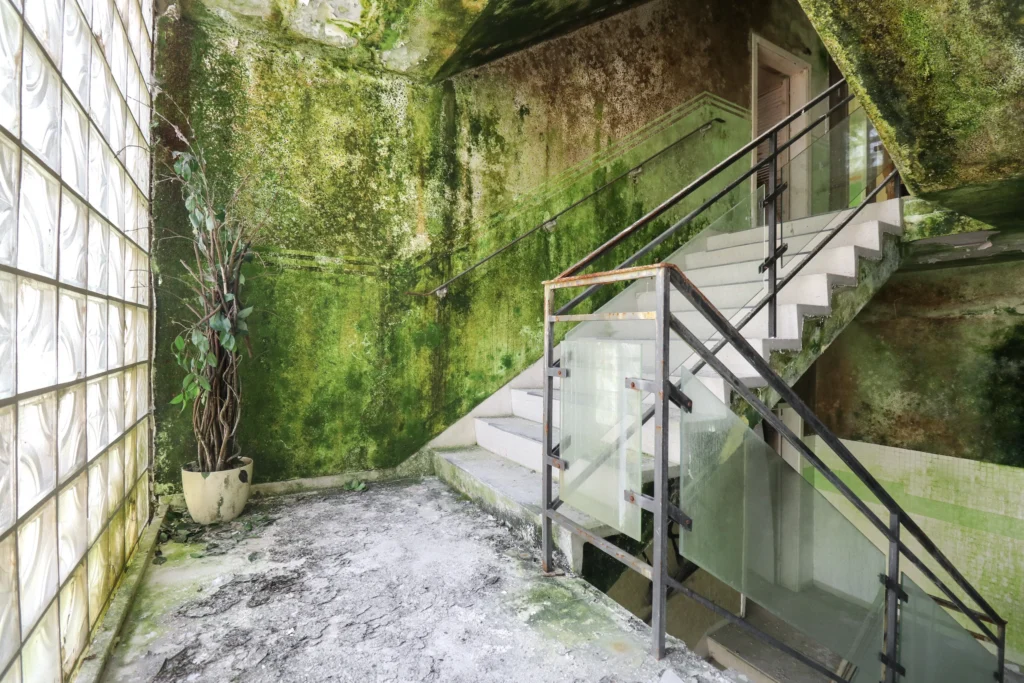 A stairwell with a glass-brick wall on the left, moss-green walls, a withered potted plant in the corner and a white staircase with rusted railings and glass balustrade panels.